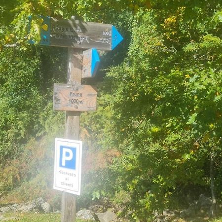 Alpeggio Pruno Villa Corfino Eksteriør bilde