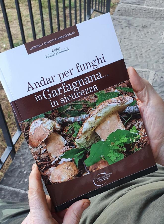Alpeggio Pruno Villa Corfino Eksteriør bilde